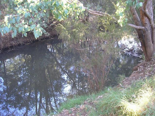 Succesful spot for redfin in the capel river